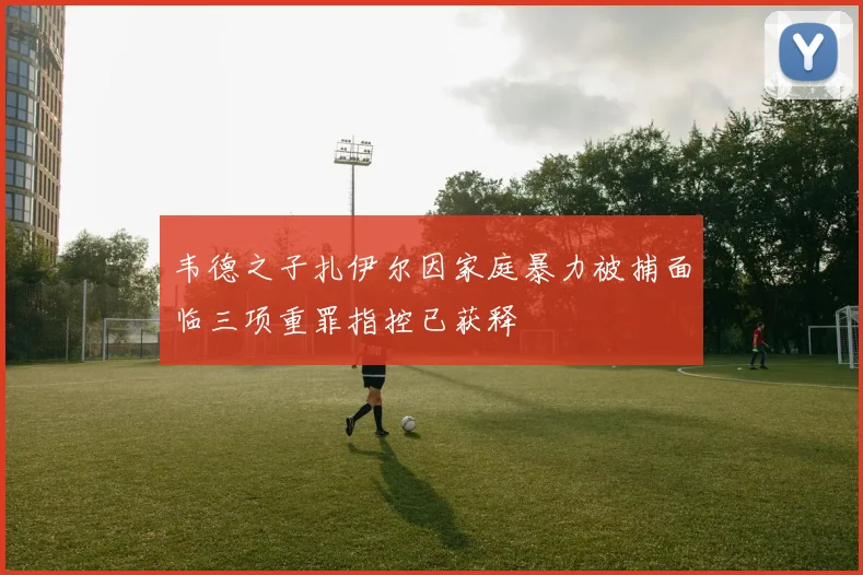 韦德之子扎伊尔因家庭暴力被捕面临三项重罪指控已获释